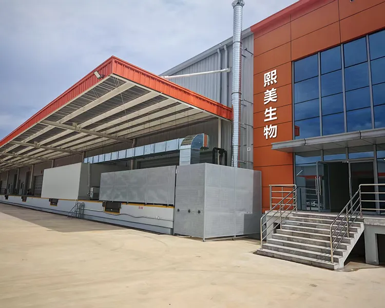 Mengenai Cmall